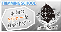 本物のトリマーを目指す方へ ジャシーグルーマーズスクール